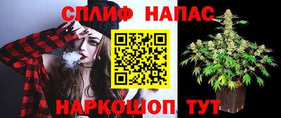 ешки Шелехов