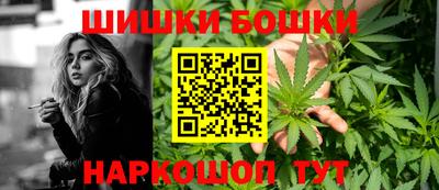 ешки Шелехов