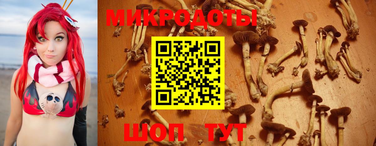 как найти   Вход с VPN  Воркута  Галлюциногенные грибы прущие грибы 